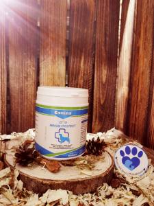 Dog Immun Protect 300g