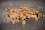 Cubes Kaninchen soft 250g