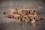 Cubes Rind soft 250g