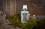 Dorsch Lebertran 500 ml