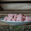 Lamm Knochenmus, 500g